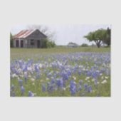Rustiek Boerderij Texas Bluebonnets decoupage Tissuepapier (Voorkant)