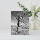 Rustiek Briefkaart (Staand voorkant)