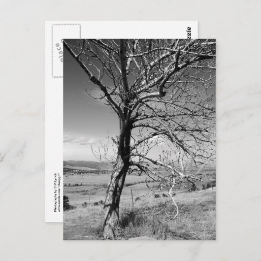 Rustiek Briefkaart (Voorkant / Achterkant)