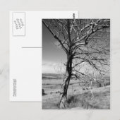 Rustiek Briefkaart (Voorkant / Achterkant)