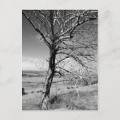 Rustiek Briefkaart (Voorkant)