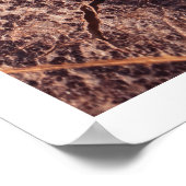 Rustiek bruin close-up blad herfst foto muur kunst poster (Hoek)