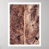 Rustiek bruin close-up blad herfst foto muur kunst poster (Voorkant)