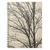 Rustiek crème bruin witte boom takken notitieboek (Voorkant)