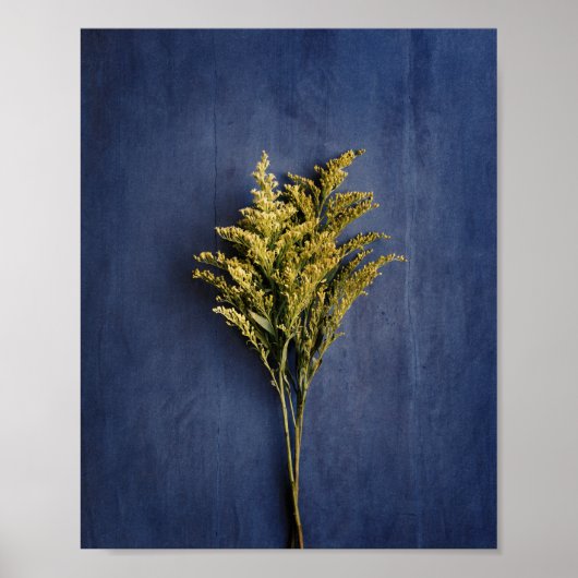 Rustiek Geel Goldenrod Botanische Foto Poster (Voorkant)