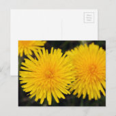 Rustiek Geel Paardebloem Briefkaart (Voorkant / Achterkant)