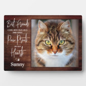 Rustiek gepersonaliseerd huisdier-herdenkingskatte fotoplaat (voorkant)