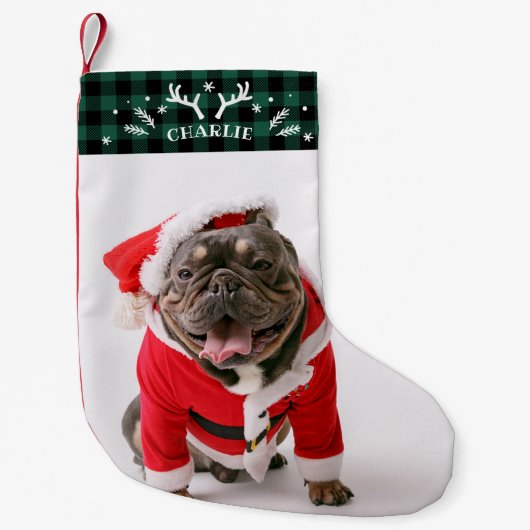 Rustiek Groen Plakken Custom Foto Huisdier Hond Kleine Kerstsok (Voorkant)