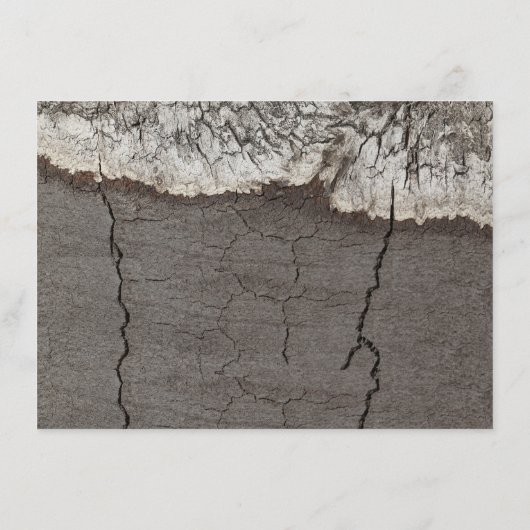 Rustiek Hout Berk Bast Tree Wedding Details Informatiekaartje (Achterkant)