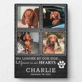 Rustiek huisdier voor altijd in onze harten | Foto Fotoplaat (voorkant)