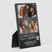 Rustiek huisdier voor altijd in onze harten | Foto Fotoplaat (Zijkant)