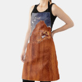 Rustiek metaal:  ijzeren textuur. schort (Insitu)