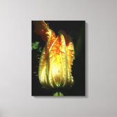 Rustiek, pompoen bloesem verpakt canvas (Voorkant)