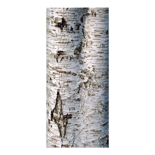 Rustiek Silver Birch Tree Wedding Menu Kaarten (Achterkant)