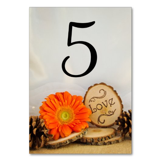 Rustiek Sinaasappel Daisy Woodland Trouwtafel Numm Kaart (Voorkant)