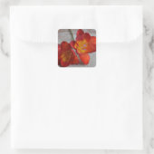 Rustiek Sinaasappel Freesia Bloem Stickers (Tas)
