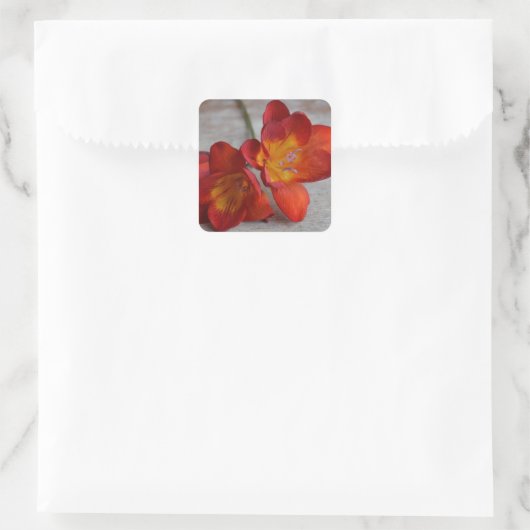 Rustiek Sinaasappel Freesia Bloem Stickers (Tas)