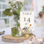 Rustiek Stoffig Blauw Wildbloemen & Daisies Bruilo Kaart<br><div class="desc">Ontdek de belichaming van rustieke elegantie met onze rustieke bruidstafelnummerkaart, waar tijdloze schoonheid voldoet aan de delicate gratie van natuur. Tegen een ongerepte witte achtergrond komt er een handbeschilderd waterverf boeket tevoorschijn, met een harmonieuze mix van stoffige blauwe en zacht gele wilde bloemen, naast de zuiverheid van witte madeliefjes en...</div>