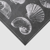 Rustiek strand frans land krijtbord schelpen tissuepapier (Detail)