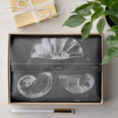 Rustiek strand frans land krijtbord schelpen tissuepapier (Geschenk)