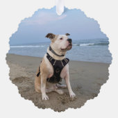 Rustiek 'Ter nagedachtenis aan' huisdier-herinneri Ornament Kaart (Achterkant)