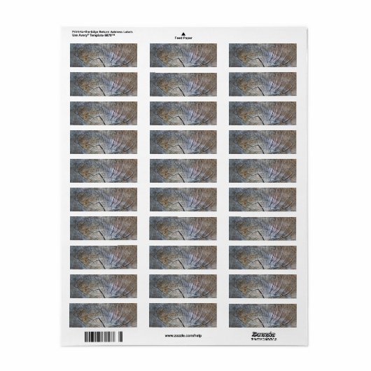 Rustiek Tree ring patroon Etiket (Full Sheet)