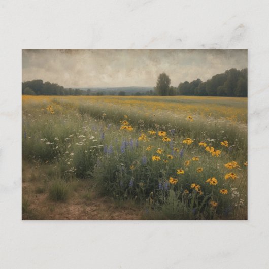  rustiek wildflower veld zomerlandschap briefkaart (Voorkant)