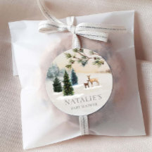 Rustiek Winter Woodland Baby shower