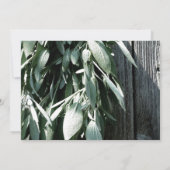 Rustieke achtertuin schuur hout en salie Vrijgezel Kaart (Achterkant)