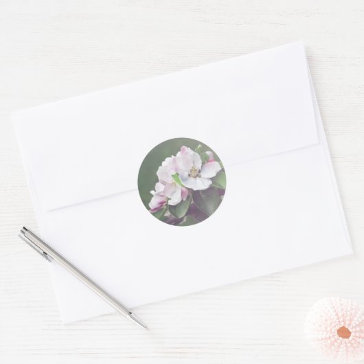 Rustieke appelboom bloesems lente Stickers (Envelop)