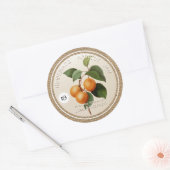  rustieke Apricot Jam gepersonaliseerde R Label (Envelop)
