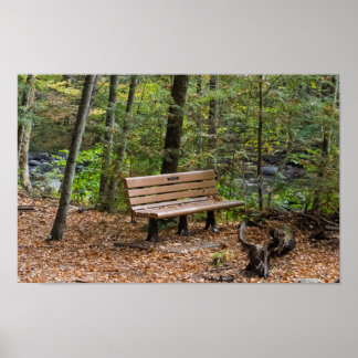 Rustieke bank in herfstbos poster