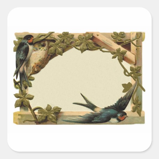   rustieke blanco klimop & slik rand vierkante sticker (Voorkant)