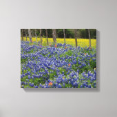 Rustieke Bluebonnets Canvas Afdruk (Voorkant)