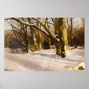 Rustieke boerderij winterzon boom landschap poster