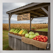rustieke Boerderijen standaard