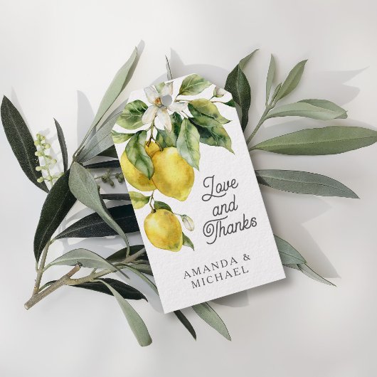 Rustieke Boho Waterverf Citroenen Citrus Dank u Cadeaulabel