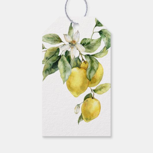 Rustieke Boho Waterverf Citroenen Citrus Dank u Cadeaulabel (Achterkant)