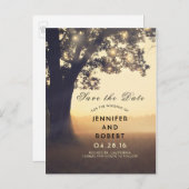 Rustieke Boom Lights Zomervelden Bewaar de datum Aankondigingskaart (Voorkant / Achterkant)