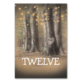 Rustieke Boom & String Lights Tafelnummer