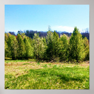 Rustieke boomlandschap foto Poster