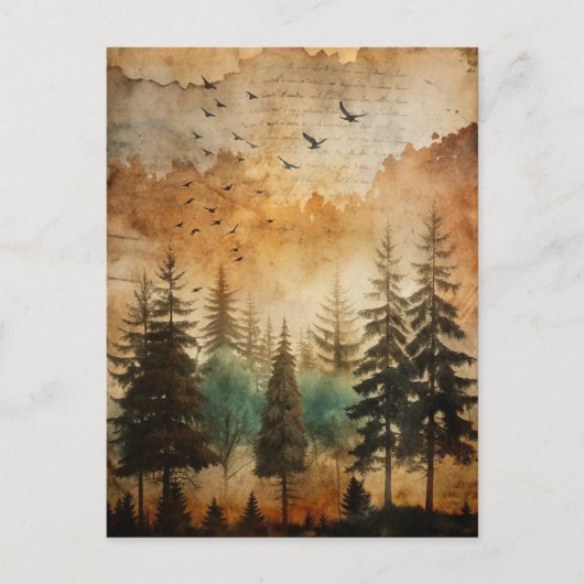 Rustieke bossen Natuur Forest Sunset Briefkaart (Voorkant)