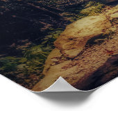 Rustieke brug in Shenandoah National Forest Foto Poster (Hoek)