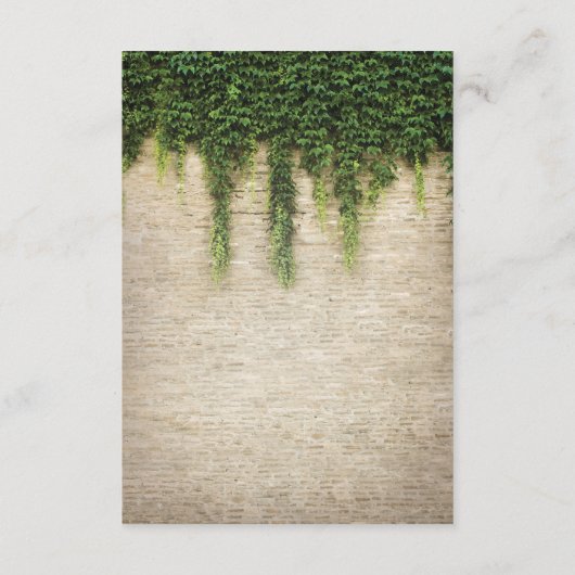 Rustieke Chateau Stone Church Trouwaanwijzingen Informatiekaartje (Achterkant)