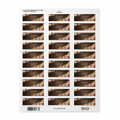 Rustieke Chic Herfstkleuren Bloemstuk Thanksgiving Etiket (Full Sheet)