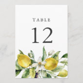 Rustieke citroenen Citrus 5x7 tafelnummer Kaarten (Voorkant)
