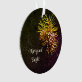 Rustieke dennenappel ornament (voorkant)