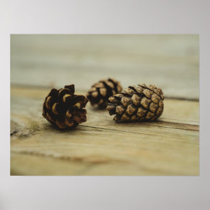 Rustieke dennenappels op houten natuur stilleven f poster