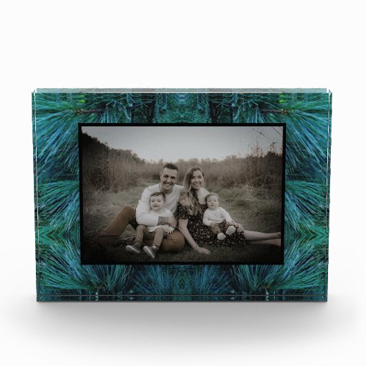 Rustieke dennenbomen dennenbos groen groenblijvend fotoblokken (Voorkant)