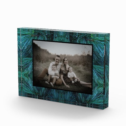 Rustieke dennenbomen dennenbos groen groenblijvend fotoblokken (Rechts)